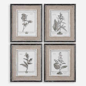 Casual Grey Study Framed Prints, S/4