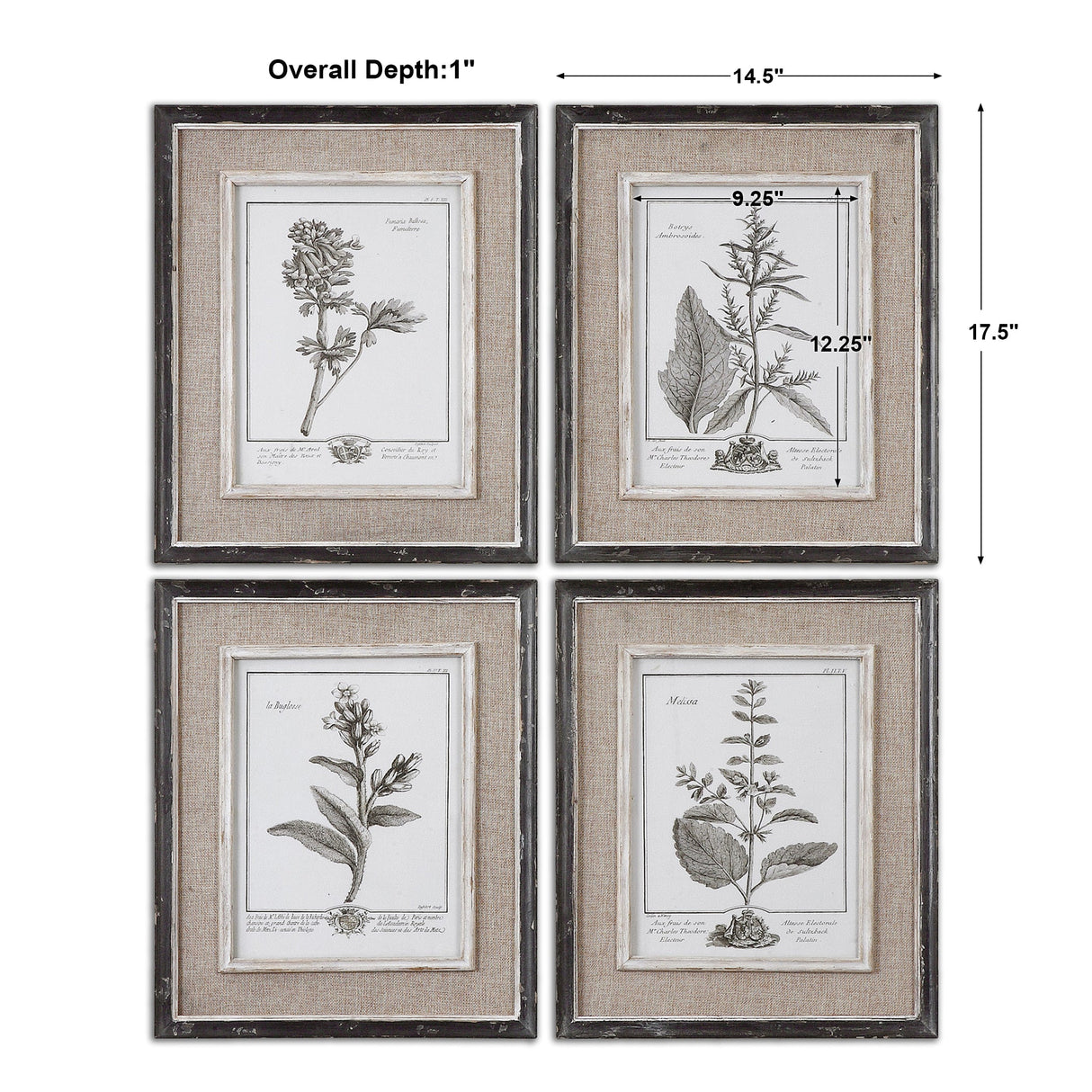 Casual Grey Study Framed Prints, S/4