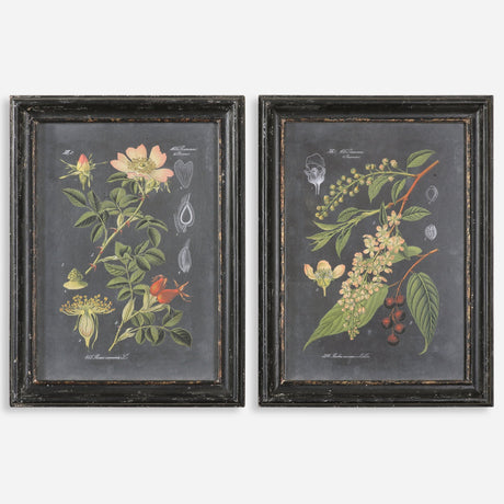 Midnight Botanicals Framed Prints, S/2