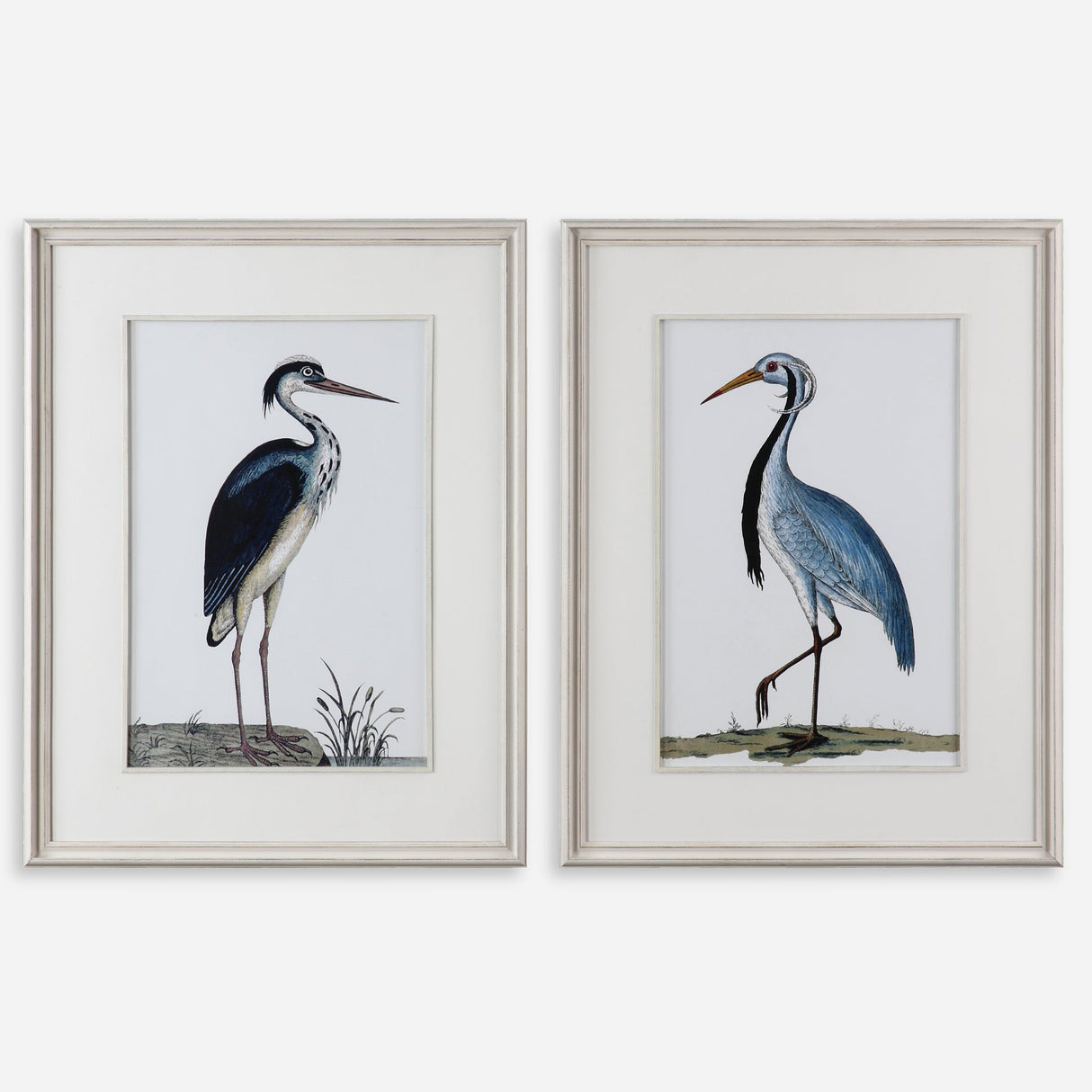 Shore Birds Framed Prints, S/2