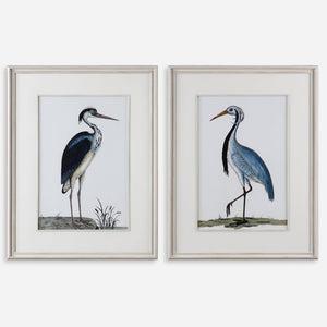 Shore Birds Framed Prints, S/2