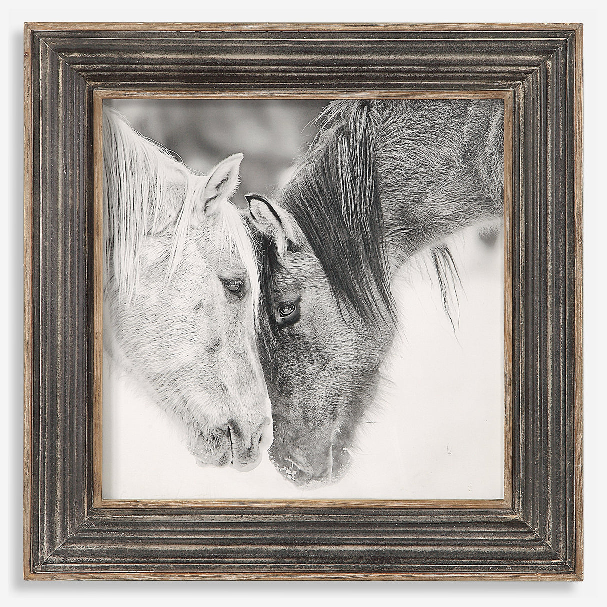 Custom Black And White Horses Framed Print