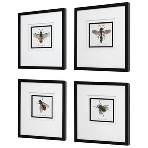 Anthophila Framed Prints, S/4