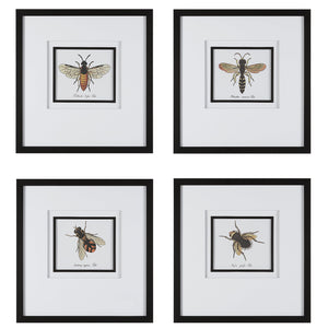 Anthophila Framed Prints, S/4