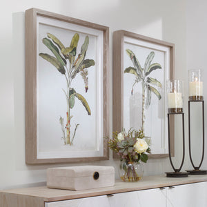 Banana Palm Framed Prints, S/2