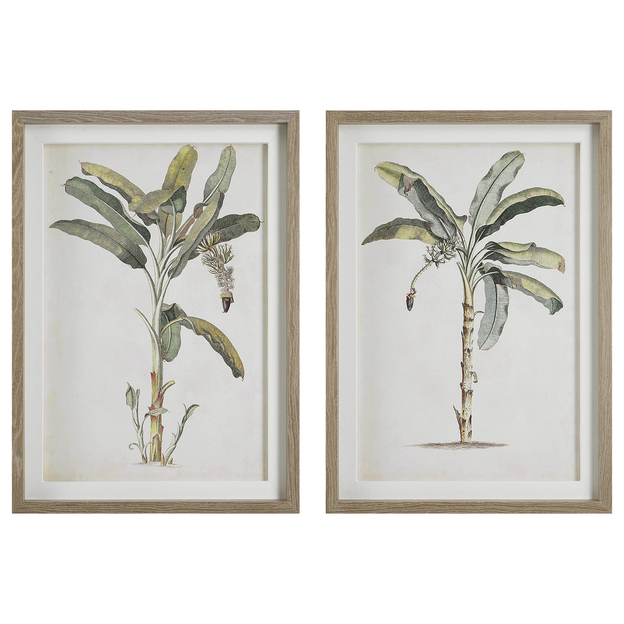 Banana Palm Framed Prints, S/2