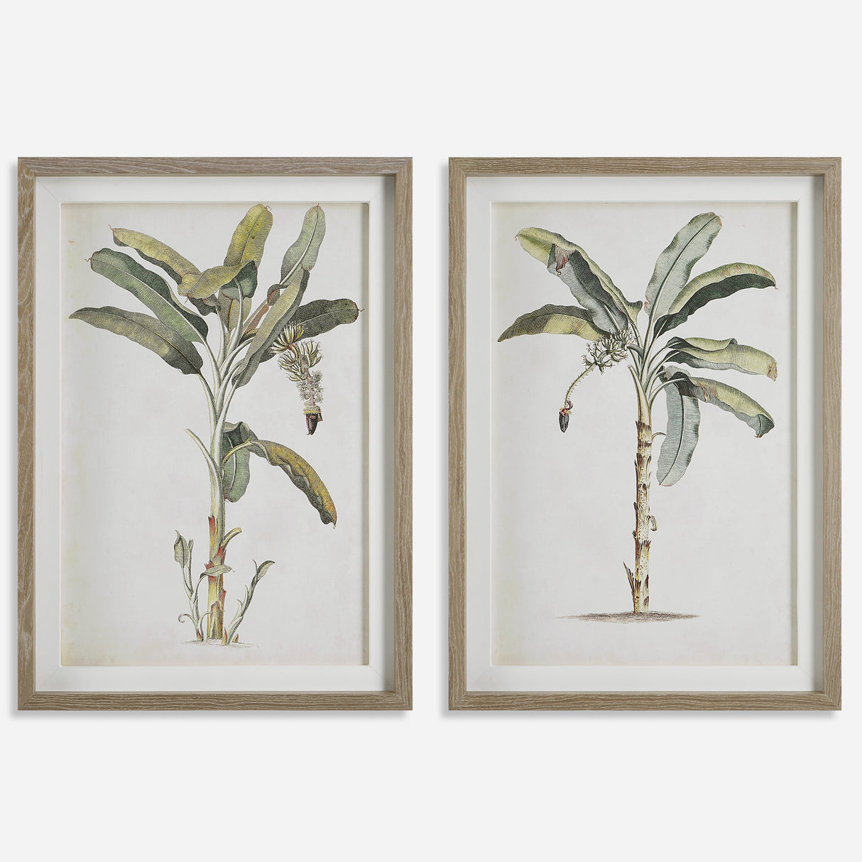 Banana Palm Framed Prints, S/2