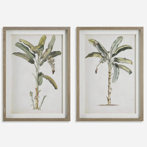 Banana Palm Framed Prints, S/2