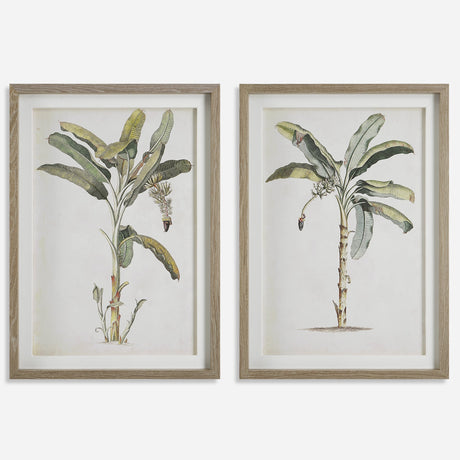 Banana Palm Framed Prints, S/2