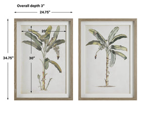 Banana Palm Framed Prints, S/2