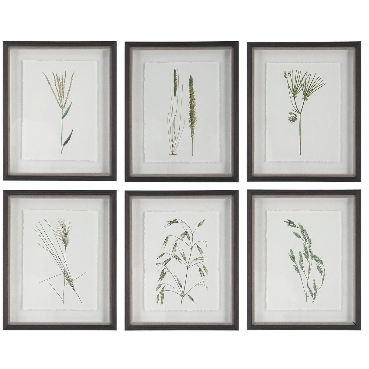 Forest Finds Framed Prints, S/6