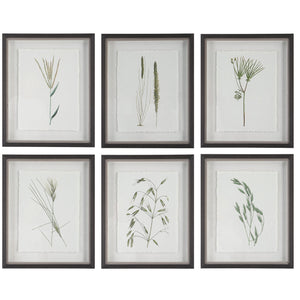 Forest Finds Framed Prints, S/6