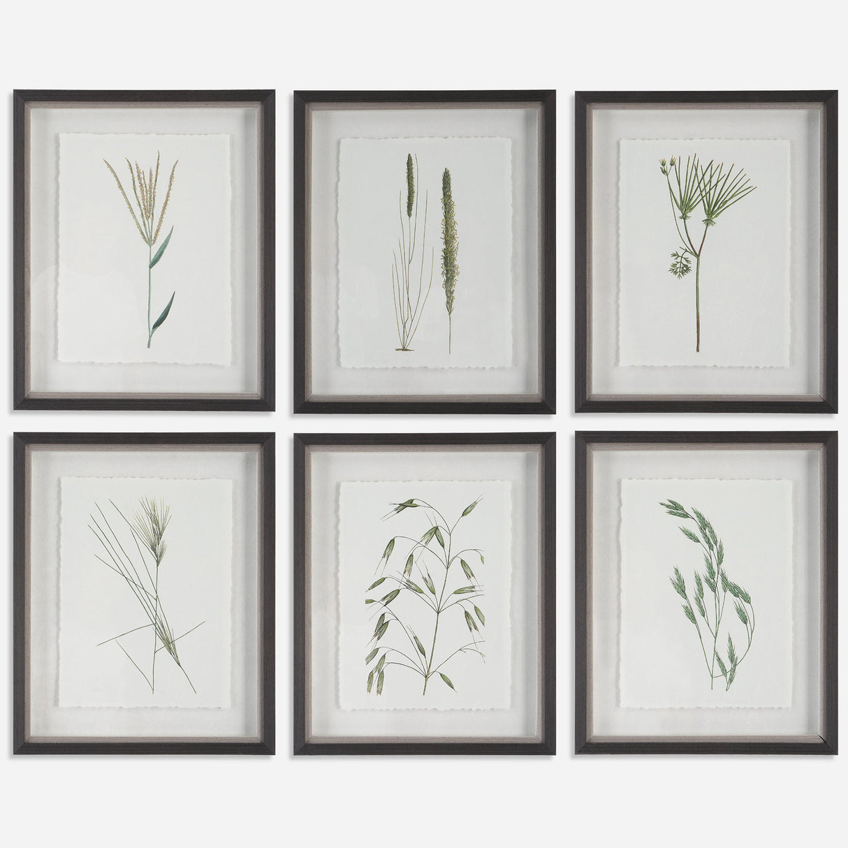 Forest Finds Framed Prints, S/6