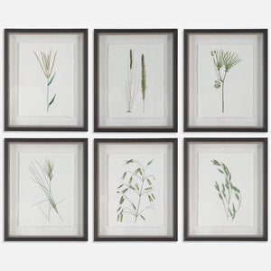 Forest Finds Framed Prints, S/6