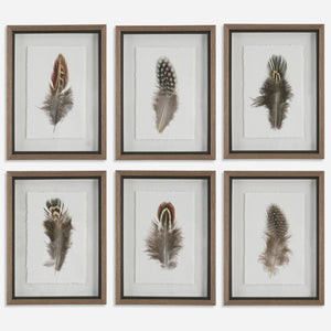 Birds of a Feather Framed Prints, S/6