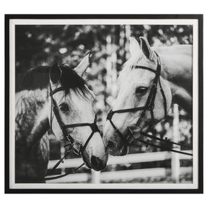 Apple Of My Eye Framed Print