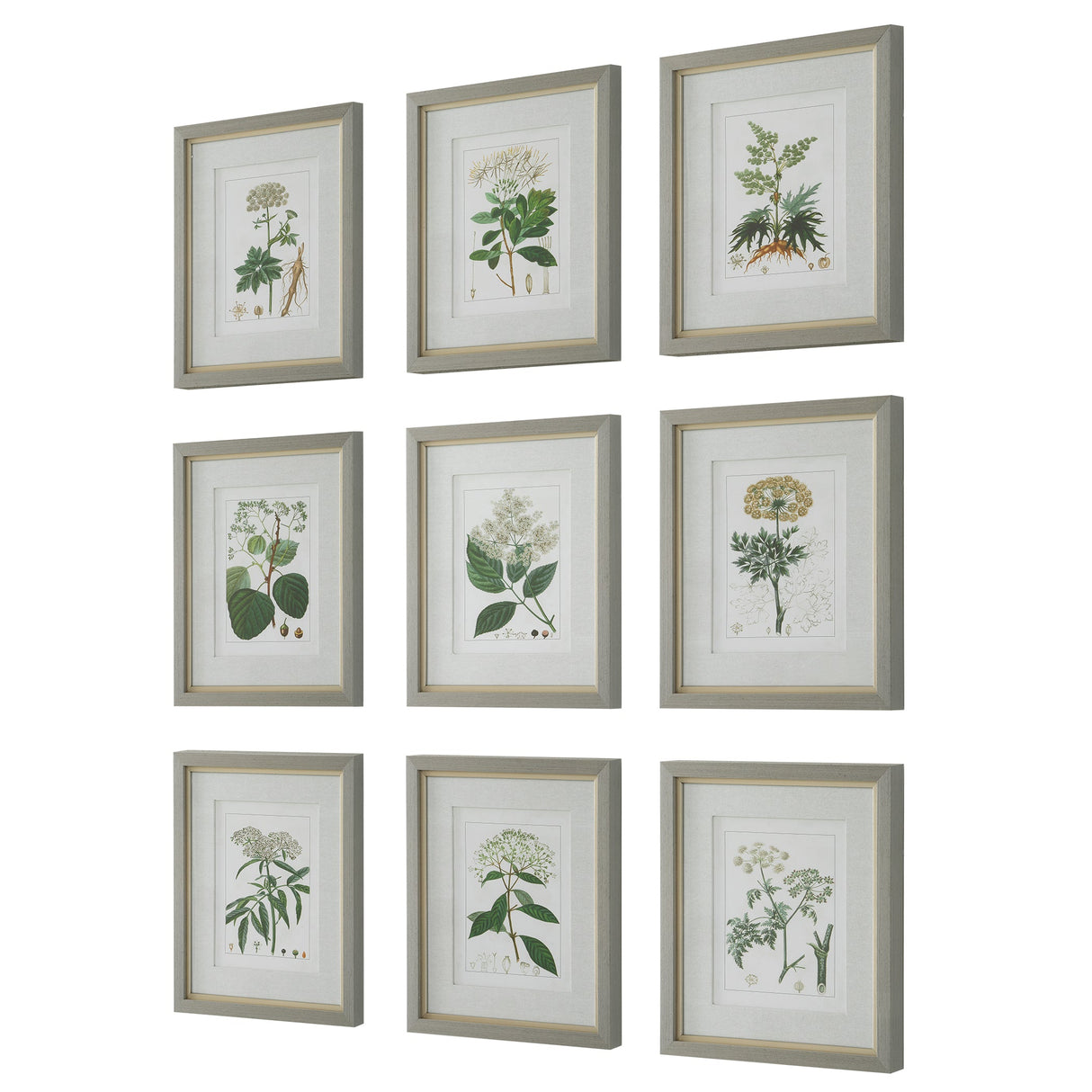 Antique Botanicals Framed Prints, S/9