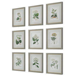 Antique Botanicals Framed Prints, S/9