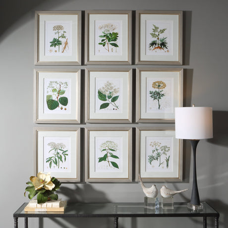 Antique Botanicals Framed Prints, S/9