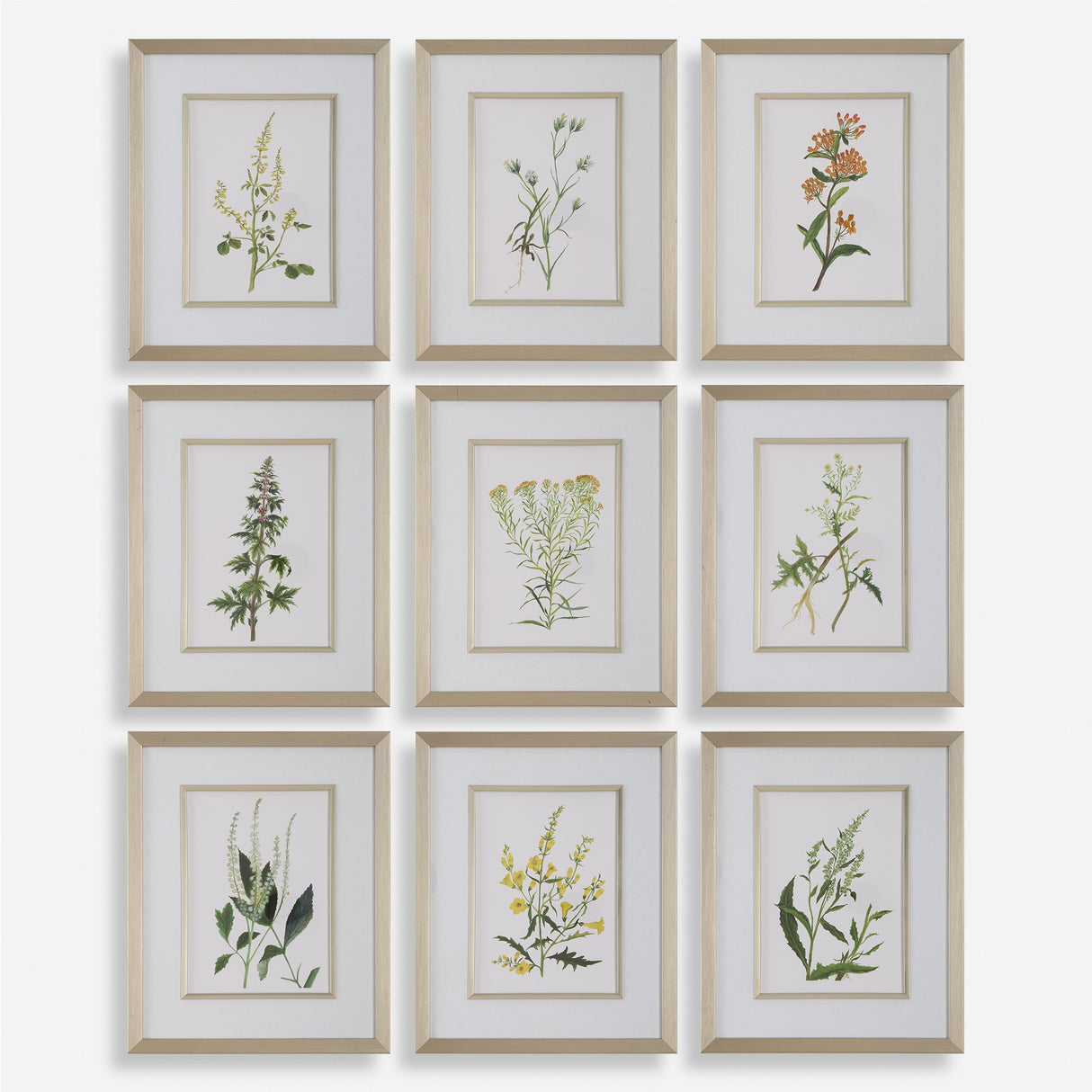 Botanical Flowers Framed Prints, S/9