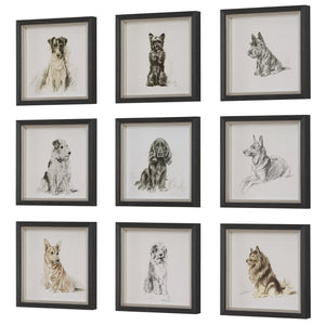 Loyal Companion Framed Dog Prints, S/9