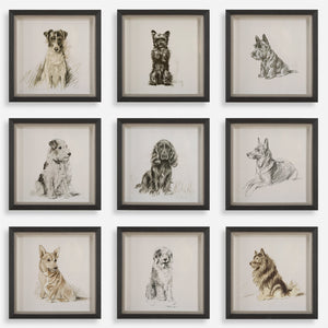 Loyal Companion Framed Dog Prints, S/9