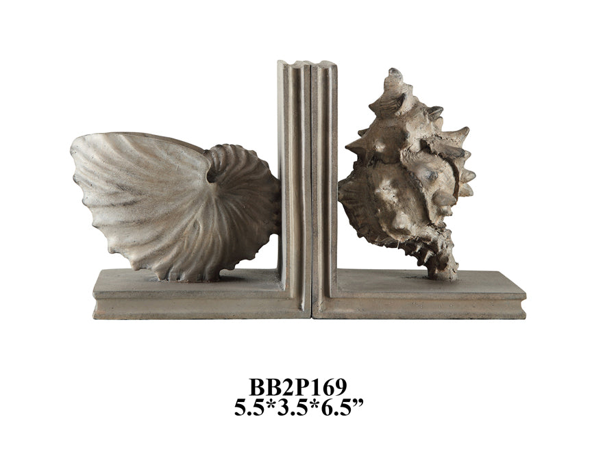 Coastal Shell Bookends