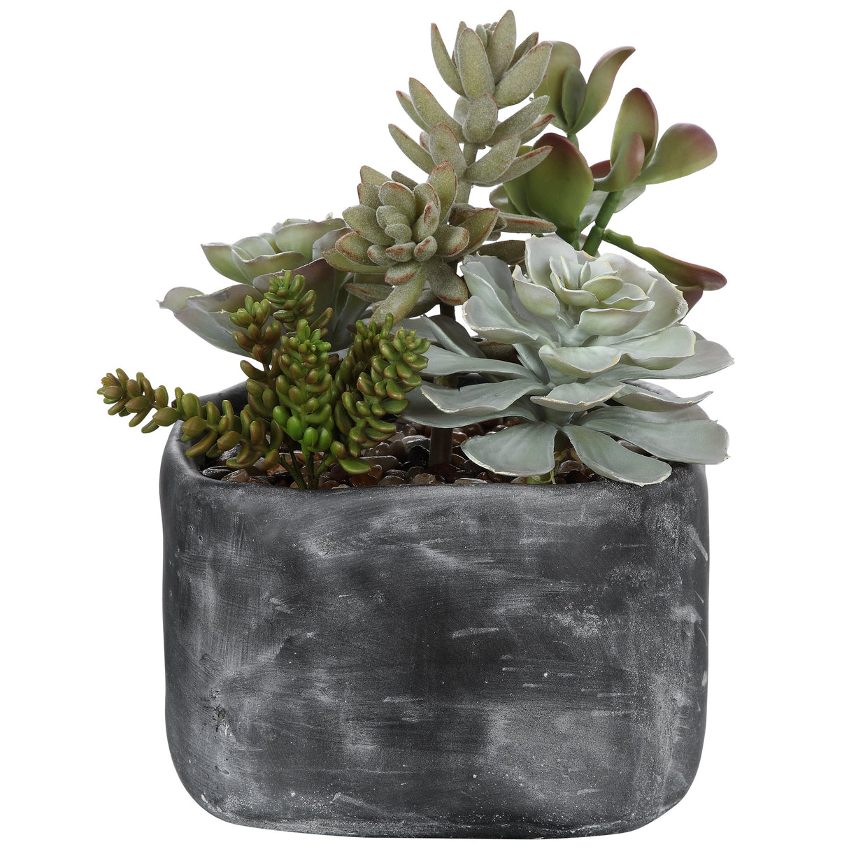 Alverio Succulents