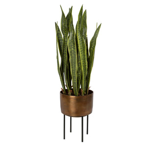 Fasita Planter