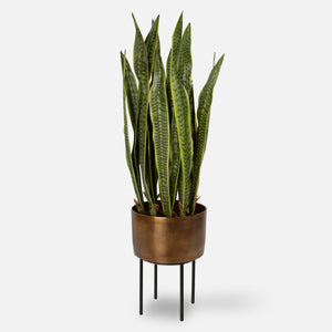 Fasita Planter