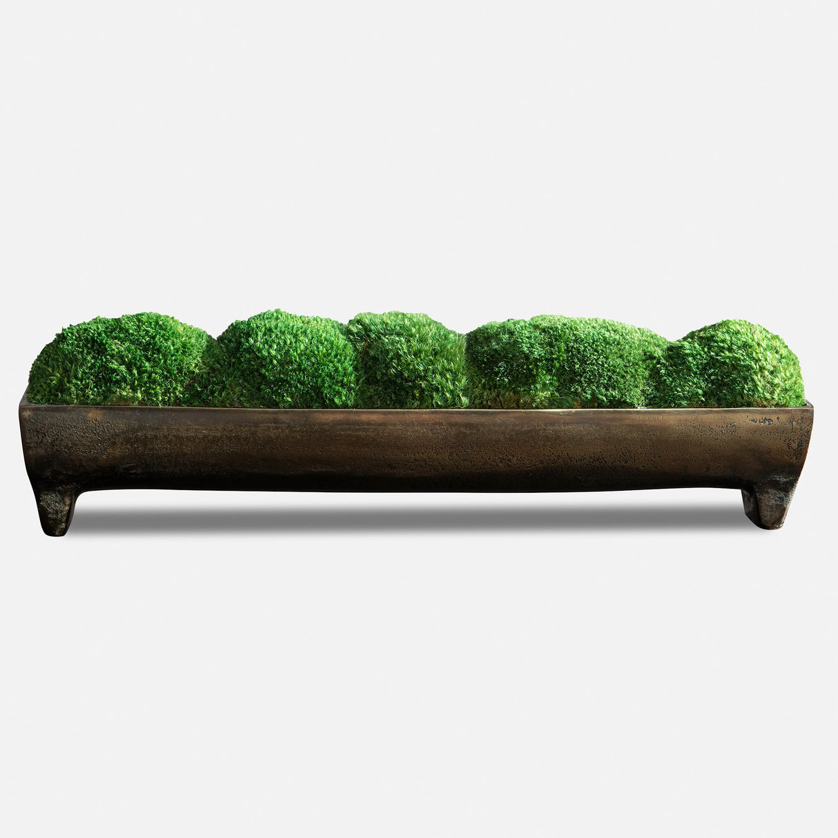 Canal Moss Centerpiece, Small