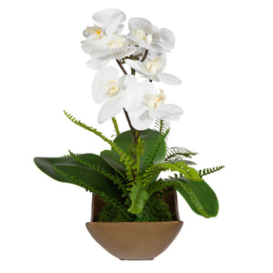 Transcend Orchid Centerpiece