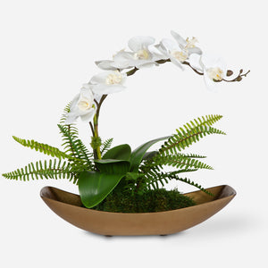 Transcend Orchid Centerpiece