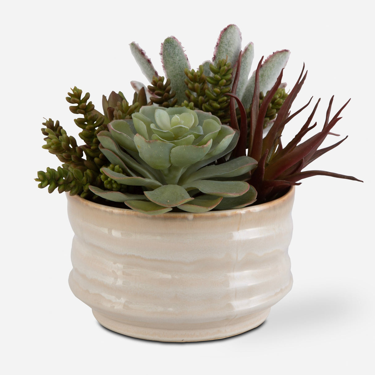 Mesa Succulent Accent