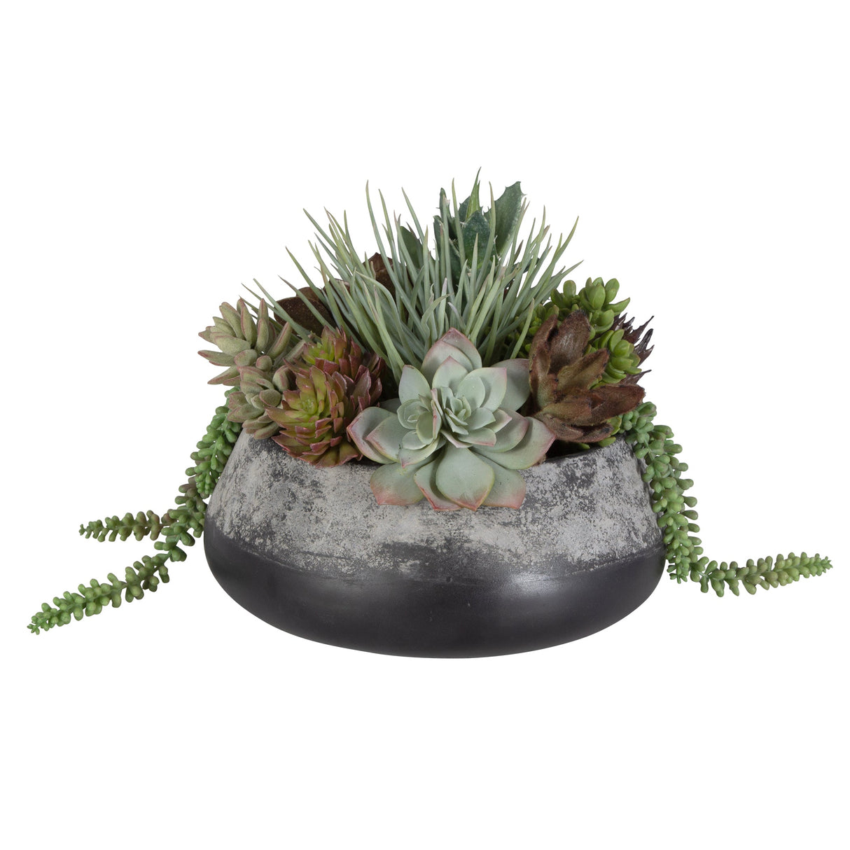 Yuma Succulent Centerpiece