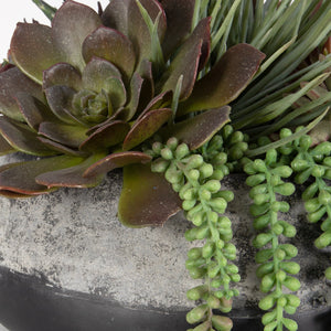 Yuma Succulent Centerpiece