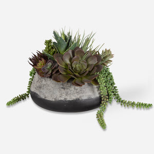 Yuma Succulent Centerpiece