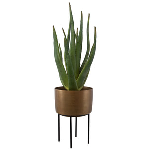 Arabia Aloe Planter, 2 Cartons