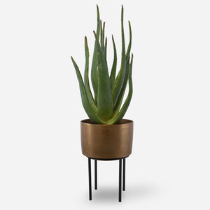 Arabia Aloe Planter, 2 Cartons