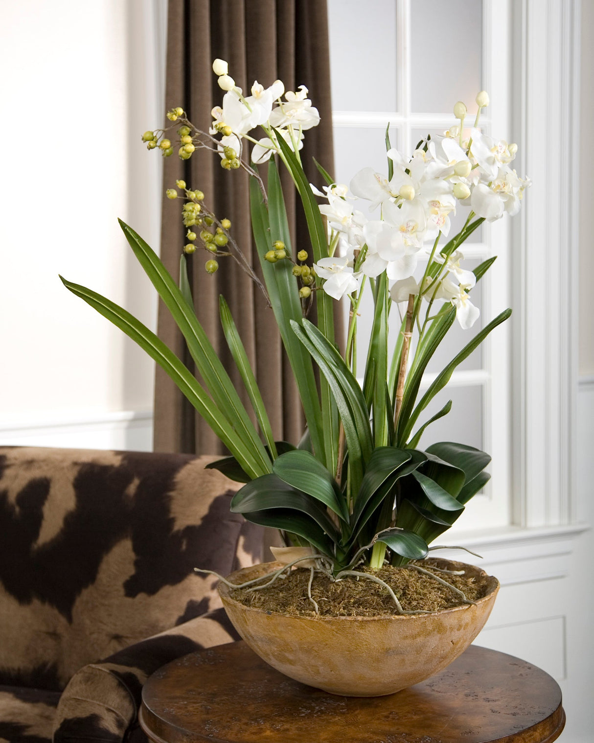 Moth Orchid Planter