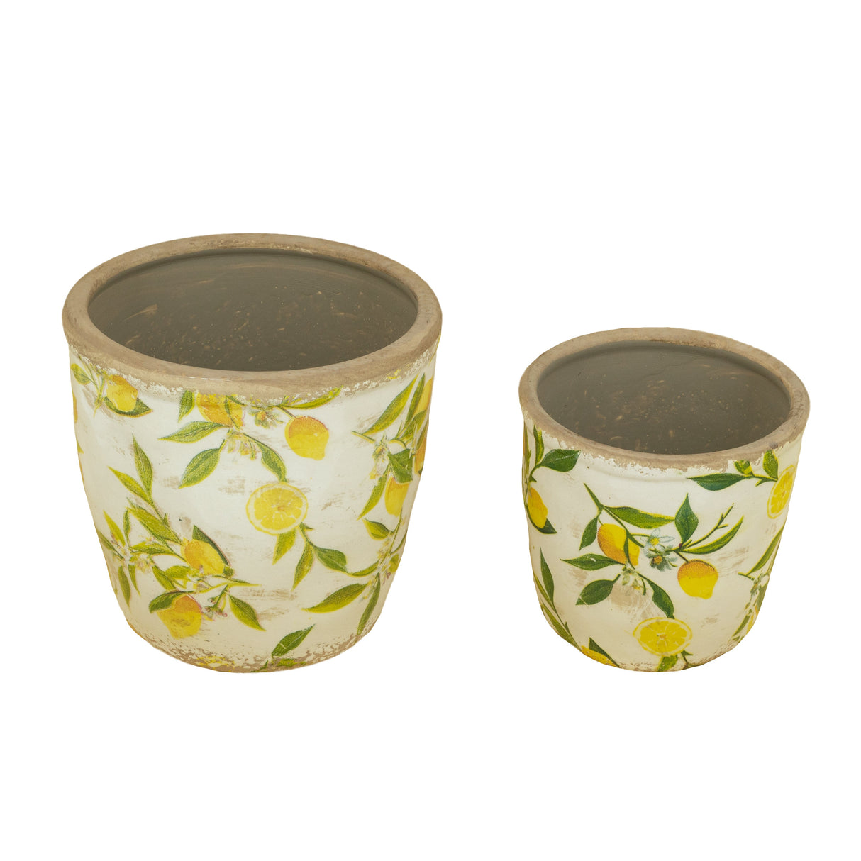 S/2 Lemon Pattern Planters