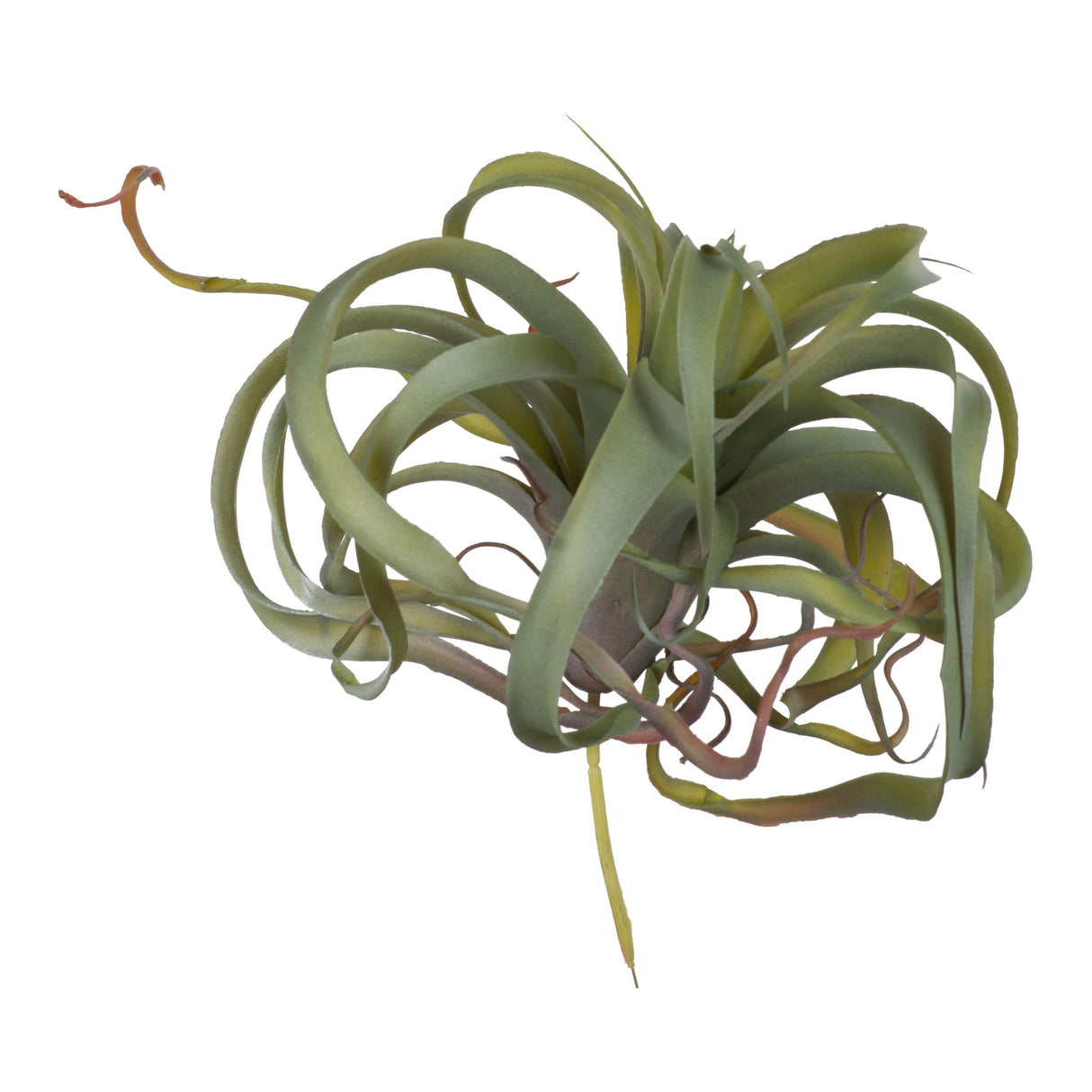 Faux Green Spider Plant Stem,Light Green