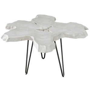 Uttermost Trillium Bleached Teak Coffee Table