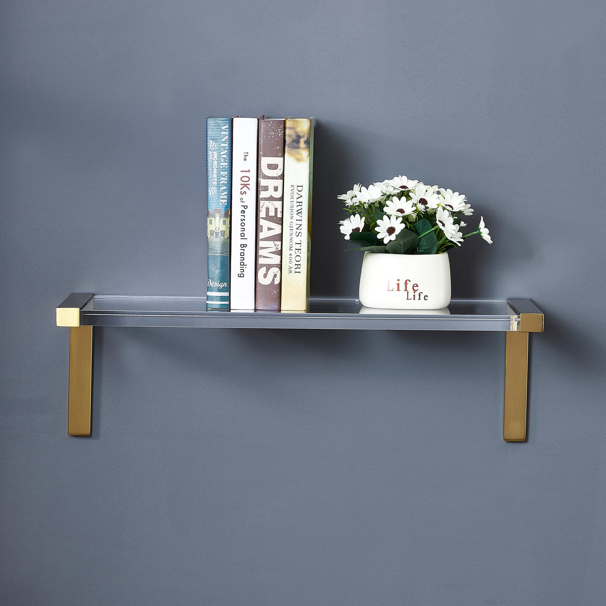 24" Shelf Overall LS-Y010