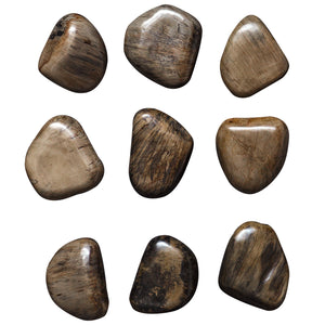 Uttermost Pebbles Walnut Wood Wall Décor, S/9