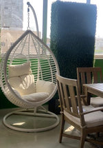 Hangging chair with cushion