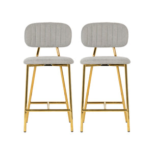 Ariana Grey Counter Stool (Set of 2)