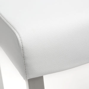 Denmark White Steel Counter Stool