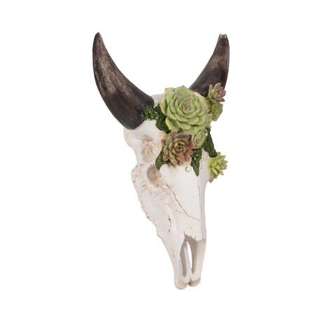 18" Bull Skull With Succulents, Multi