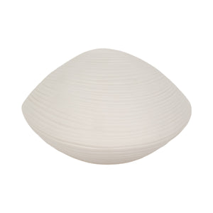 6" Seashell Decor, White